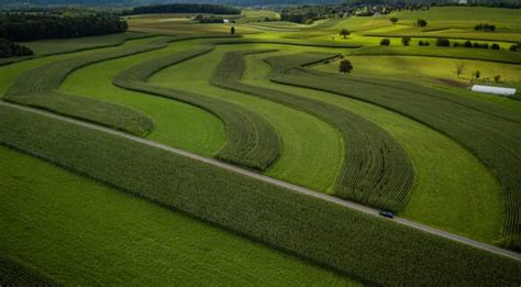 What is the purpose of strip cropping .